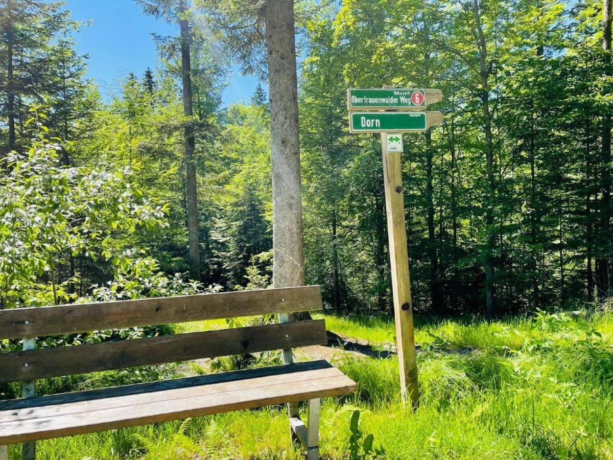 Appartement Zum Hirsch'N Waldkirchen Eksteriør bilde