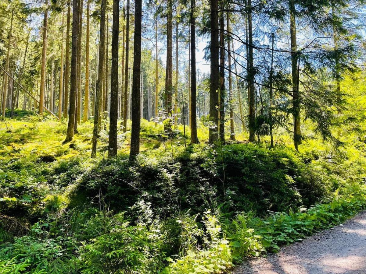 Appartement Zum Hirsch'N Waldkirchen Eksteriør bilde